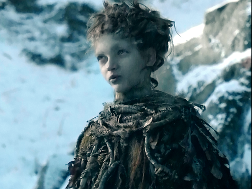 Дети леса испытания. Книга дети леса катя брандис. Дети леса испытания. Дети леса испытания. Книга дети леса катя брандис.