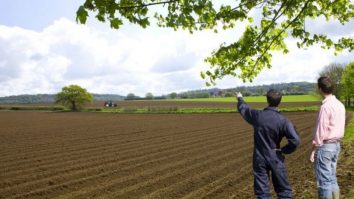 Terenuri tinerii sub 40 de ani