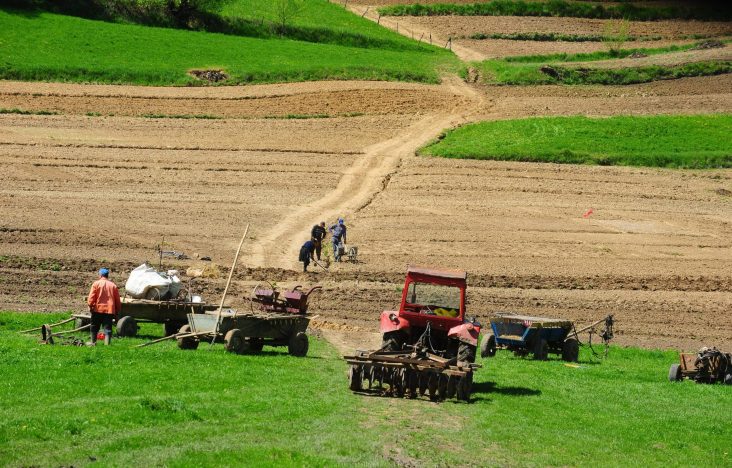 terenuri agricole romania