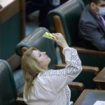 diana sosoaca sanctionata