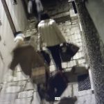 mafia badante