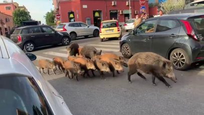mistreti roma