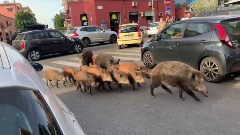 mistreti roma
