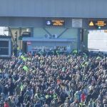 manifestatii green pass obigatoriu