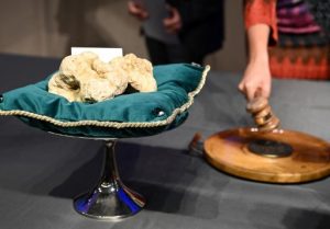 trufa alba record italia