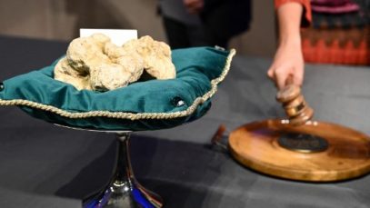 trufa alba record italia