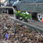 roman mort de frig la Torino