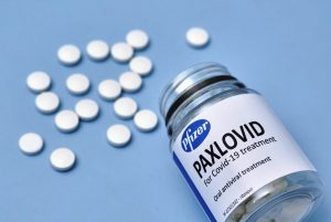 paxlovid italia