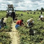 muncitori romani exploatati