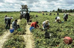 muncitori romani exploatati