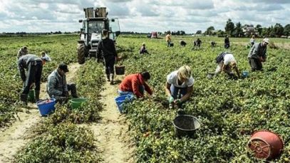 muncitori romani exploatati