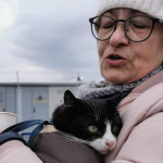 razboi în Ucraina animale de companie