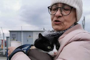 razboi în Ucraina animale de companie