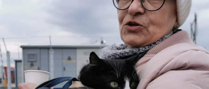 razboi în Ucraina animale de companie