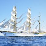 nava scoala mircea