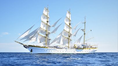 nava scoala mircea
