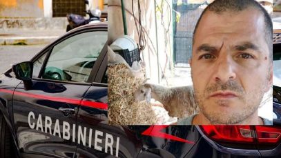 ucis sotie salerno