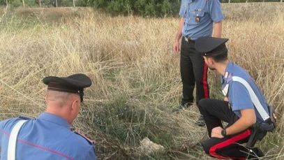 bebelus abandonat italia