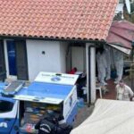 descoperire traguca velletri