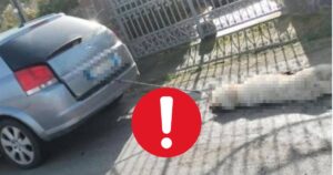 Scenă de groază în Reggio Calabria