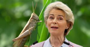 Făină de greieri în Italia