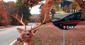 Accident grav în Lombardia