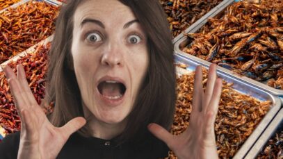 Mâncăm insecte fără să știm