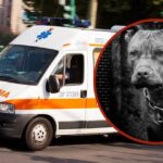 oroare fermo menajera