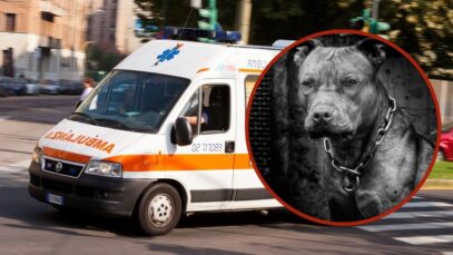 oroare fermo menajera