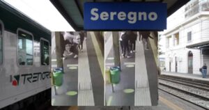 roman impins sub tren