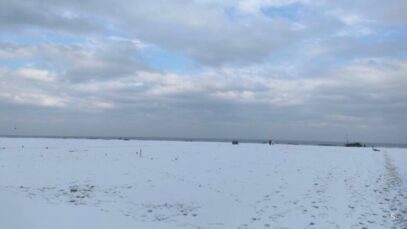 Româncă moartă pe plajă la Rimini