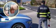 Rețea mașini furate Italia străinătate