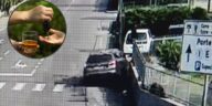 Român în comă alcoolică la volan la Verona