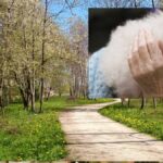 Român condamnat pentru viol la Cuneo