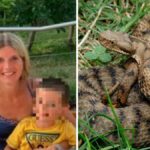 Italia copil mușcat viperă