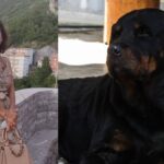Scenă teribilă femeie sfâșiată