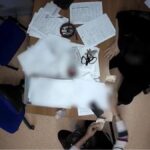 Funcționari Primăria Torino arestați șpagă români