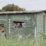 Vorbește tatăl fetei de origine română violate la Anzio