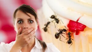 Ancona, furnici pe o bătrână la urgență