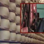 15.000 de roți de Grana Padano se prăbușesc la o fermă