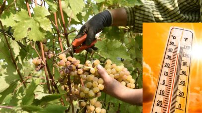 Franciacorta: Ioan Avarvarei 37 de ani ucis de caniculă