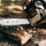 Român de 27 de ani mort în timp ce tăia un copac