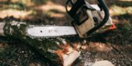 Român de 27 de ani mort în timp ce tăia un copac