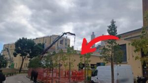 muncitor roman accident bari